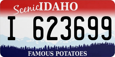 ID license plate I623699