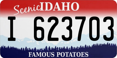 ID license plate I623703