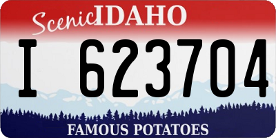 ID license plate I623704