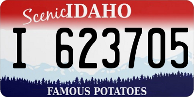 ID license plate I623705