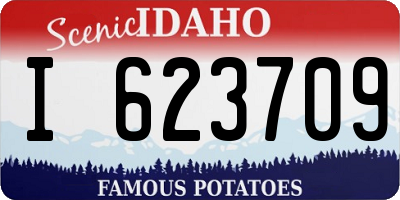 ID license plate I623709
