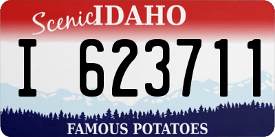 ID license plate I623711