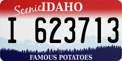 ID license plate I623713