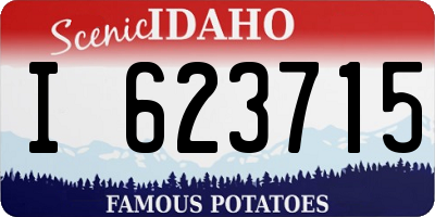ID license plate I623715