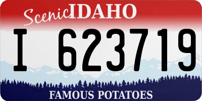 ID license plate I623719