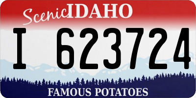 ID license plate I623724