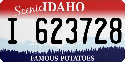 ID license plate I623728