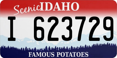 ID license plate I623729