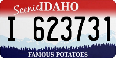 ID license plate I623731