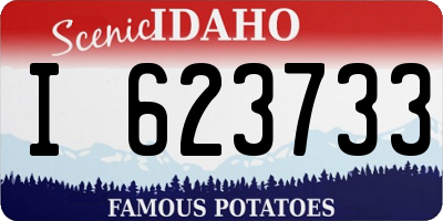 ID license plate I623733