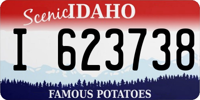 ID license plate I623738