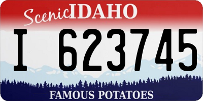 ID license plate I623745