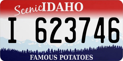 ID license plate I623746