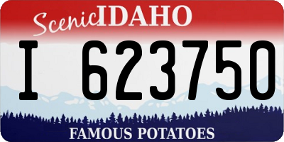 ID license plate I623750