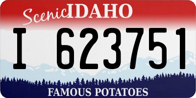 ID license plate I623751