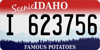 ID license plate I623756