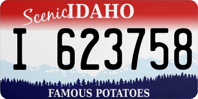 ID license plate I623758
