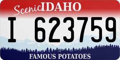 ID license plate I623759