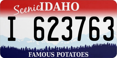 ID license plate I623763