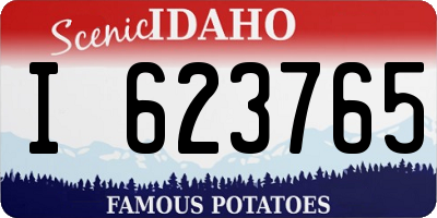 ID license plate I623765