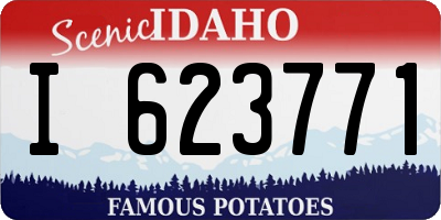 ID license plate I623771