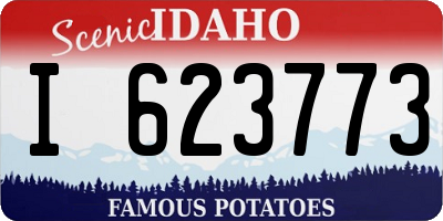 ID license plate I623773