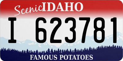 ID license plate I623781