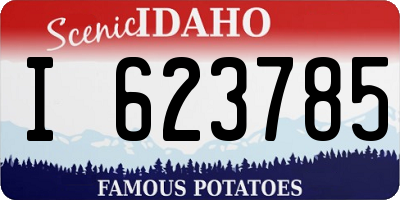ID license plate I623785