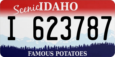 ID license plate I623787