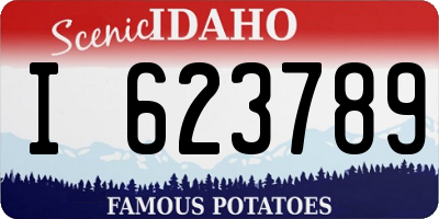 ID license plate I623789