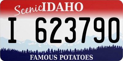 ID license plate I623790