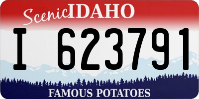 ID license plate I623791