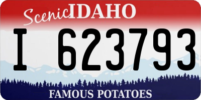ID license plate I623793