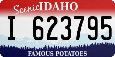 ID license plate I623795