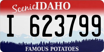 ID license plate I623799