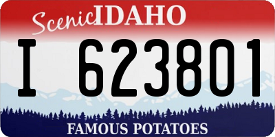 ID license plate I623801