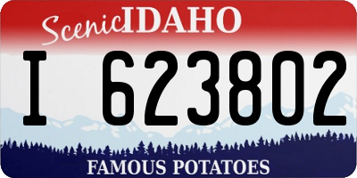 ID license plate I623802