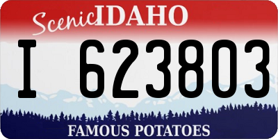 ID license plate I623803