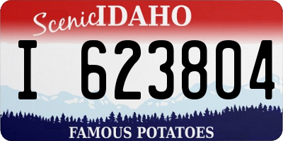 ID license plate I623804