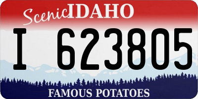 ID license plate I623805