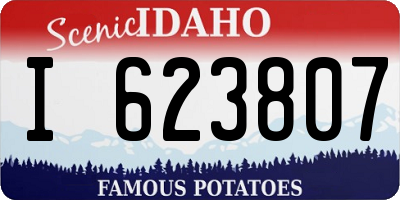 ID license plate I623807