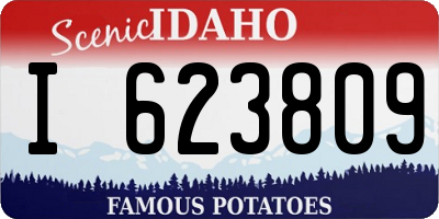 ID license plate I623809