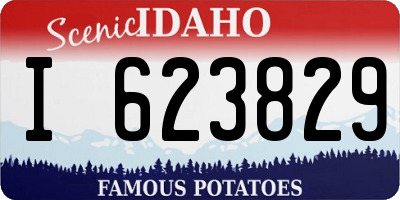 ID license plate I623829