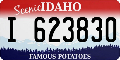 ID license plate I623830