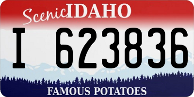 ID license plate I623836