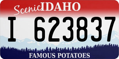 ID license plate I623837
