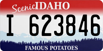 ID license plate I623846