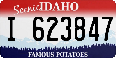 ID license plate I623847