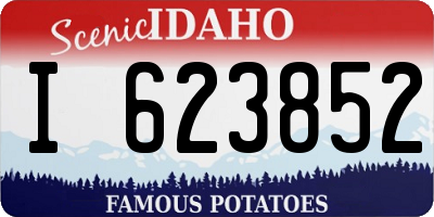 ID license plate I623852