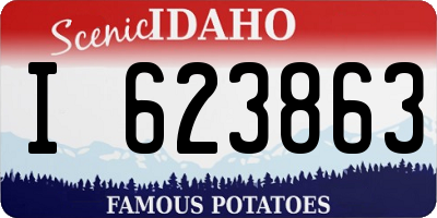 ID license plate I623863